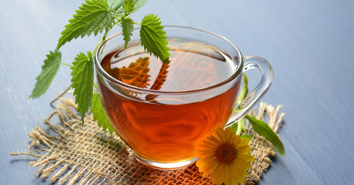 Xícara de chá de ervas com flores e folhas naturais