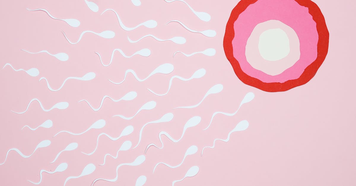 Ilustração do processo de fertilização do óvulo pelo espermatozoide